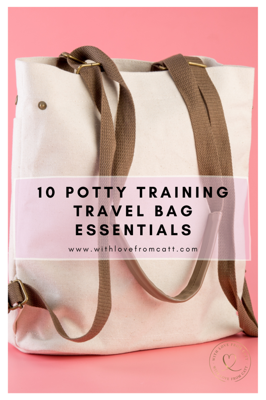 Potty training travel bag